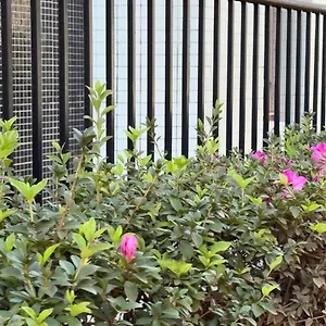 Apartamento - Park Sul Brasília